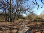 Sallandse Heuvelrug